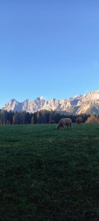 Landhaus-Koenigsberg, Vorberg 360 Ebenguetlweg Ramsau am Dachstein Bagian luar foto